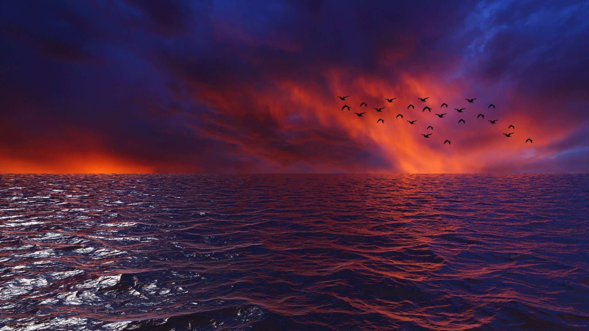 Download Ocean Bird Nature Sunset 4k Ultra HD Wallpaper | 5120x2880 ...