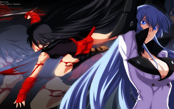 Anime Akame ga Kill! Akame Esdeath HD Wallpaper | Background Image