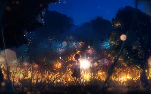 Anime Girl Night Forest Light HD Wallpaper | Background Image