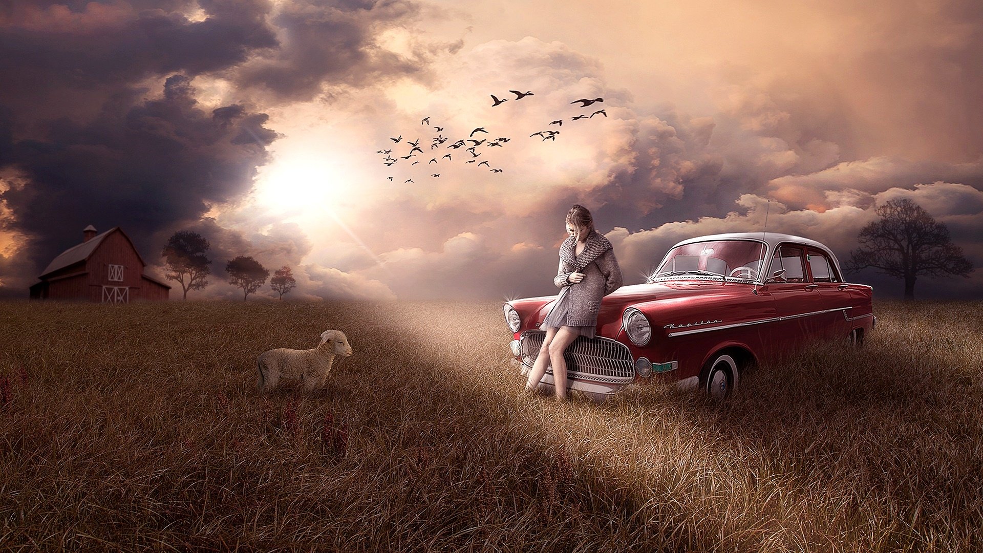 Download Car Field Lamb Sad Fantasy Woman HD Wallpaper