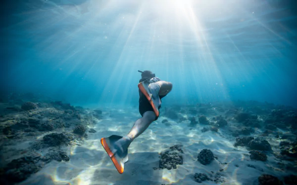 photography underwater HD Desktop Wallpaper | Background Image