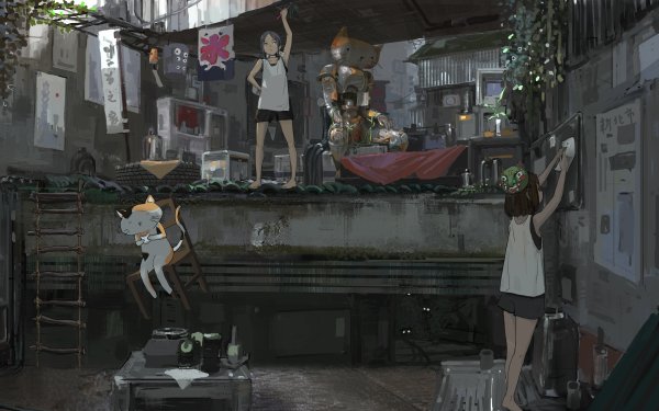 Anime Original Apartment Cat HD Wallpaper | Background Image